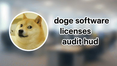 Doge Software Licenses Audit HUD