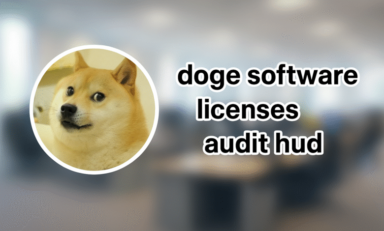 Doge Software Licenses Audit HUD