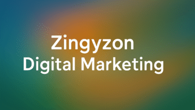 Zingyzon Digital Marketing